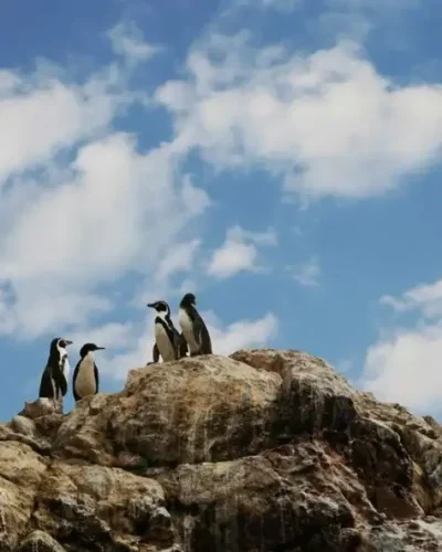 two day Ballestas islands