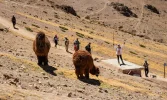 llamas rainbow mountain tour