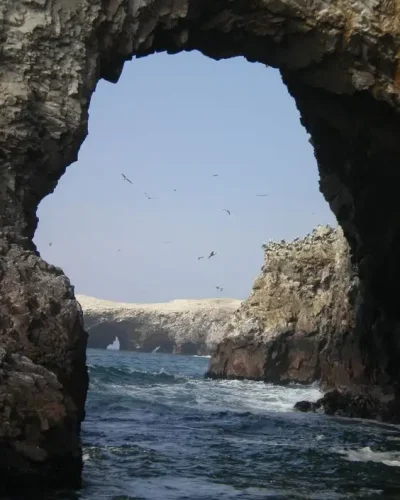 Ballestas-Islands-tour.webp