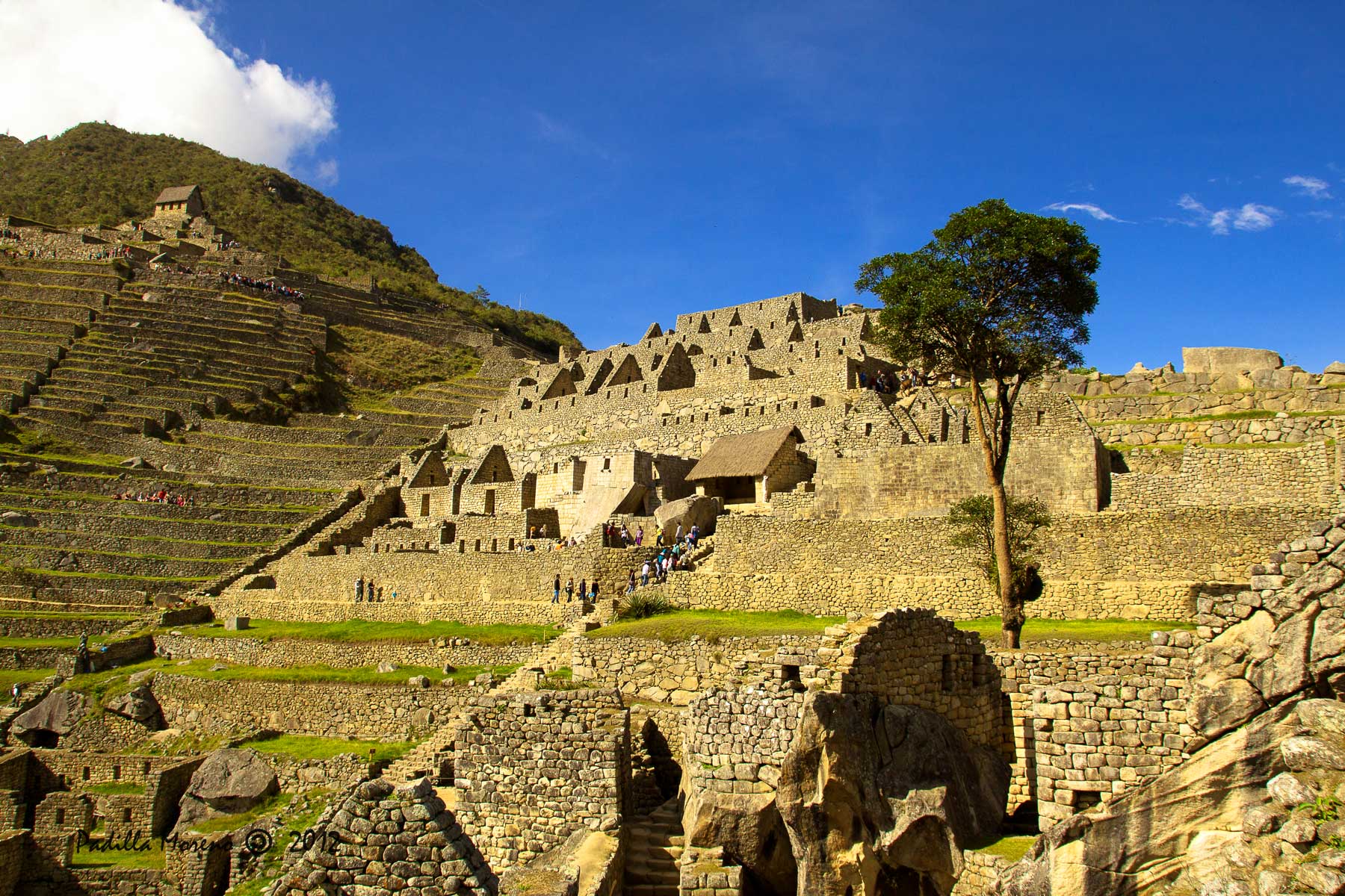 Explanada de Machu Picchu, se aprecian todas las construcciones
