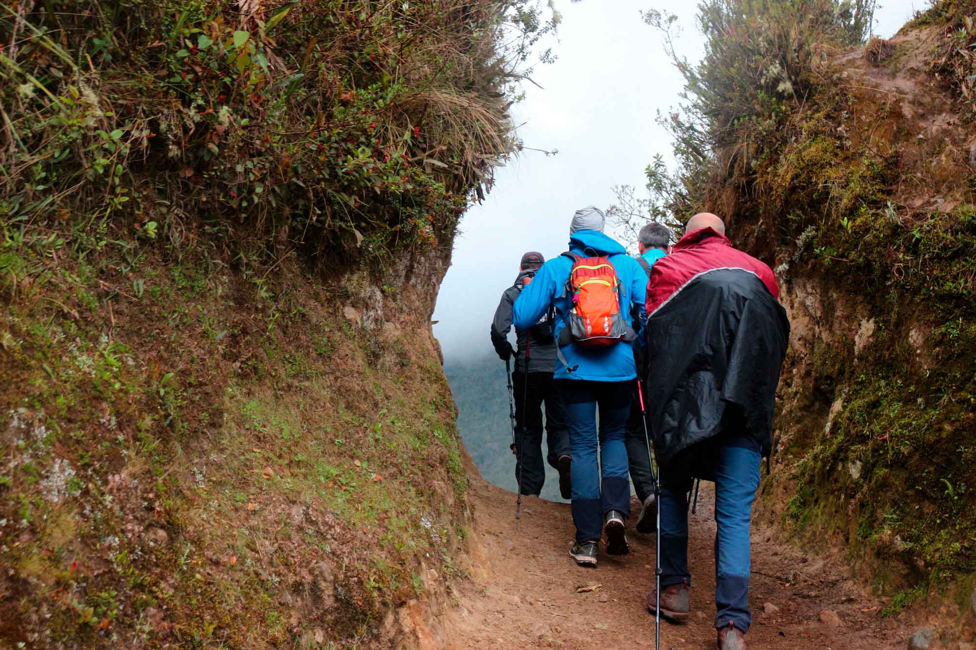 Cusco Trekking | The best adventure trails in Cusco